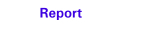 Report